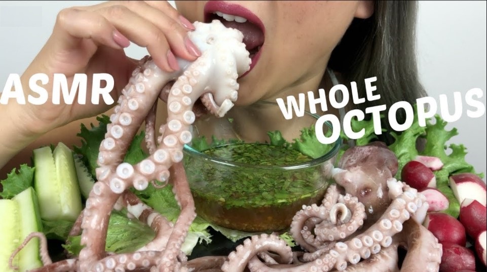 bạch tuộc bao nhiêu calo, ăn bạch tuộc có tốt không, ăn bạch tuộc sống có tốt không, ăn bạch tuộc có béo không, ăn bạch tuộc có mập không, bạch tuộc calo, bạch tuộc chứa bao nhiêu calo, bạch tuộc nướng bao nhiêu calo, 100g bạch tuộc sống chứa bao nhiêu calo, calo trong bạch tuộc, bạch tuộc xào bao nhiêu calo, 1 con bạch tuộc bao nhiêu calo, ăn bạch tuộc nhiều có tốt không, bà bầu ăn bạch tuộc có tốt không, 100 bạch tuộc luộc bao nhiêu calo